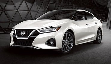 2023 Nissan Maxima in Dutch Miller Nissan Of Bristol in Bristol TN